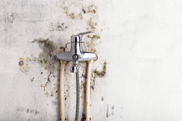 Best Mold Testing  in Athens, WV